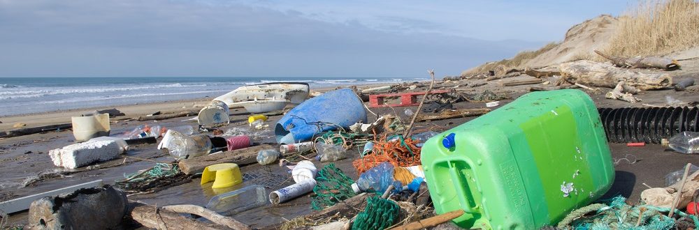 Water and beach pollution