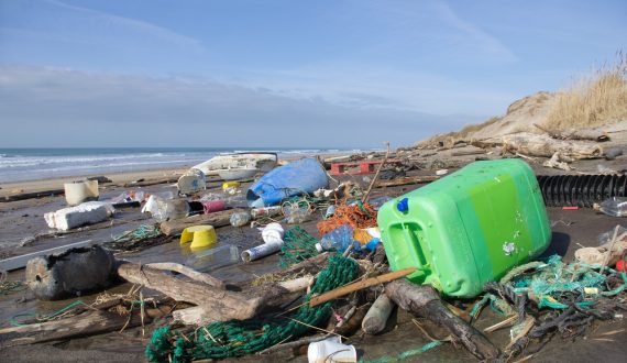 Water and beach pollution