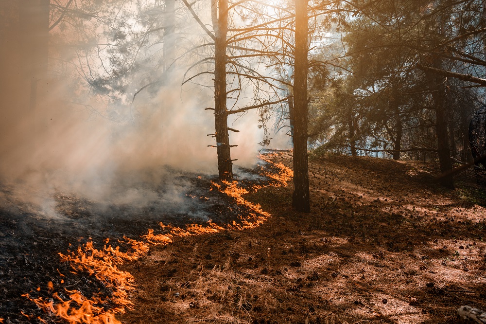 Bushfire in Perth