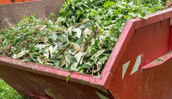 green waste summer skip bin