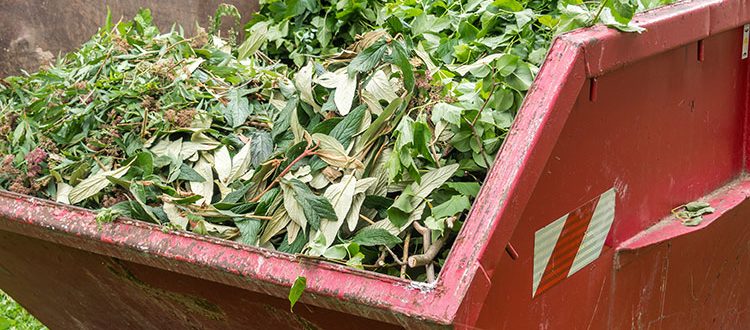 green waste summer skip bin