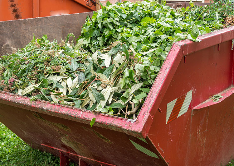 green waste summer skip bin