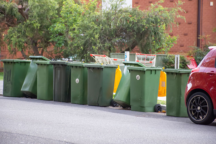 Guide What You Need to Know About Western Australian Bin Laws
