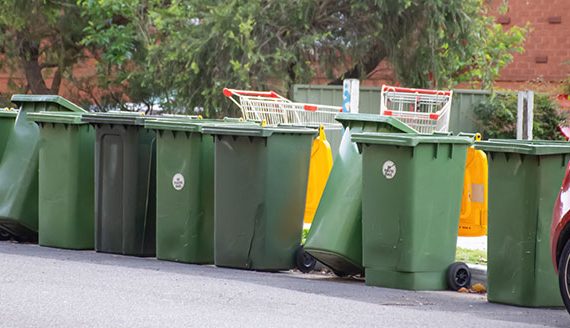 wa bin and waste laws bins on street
