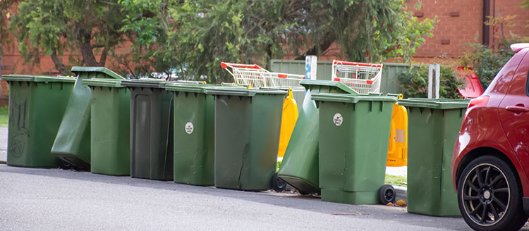 wa bin and waste laws bins on street