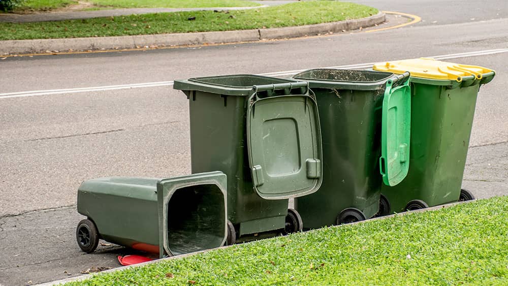 australian wheelie bins cleaning