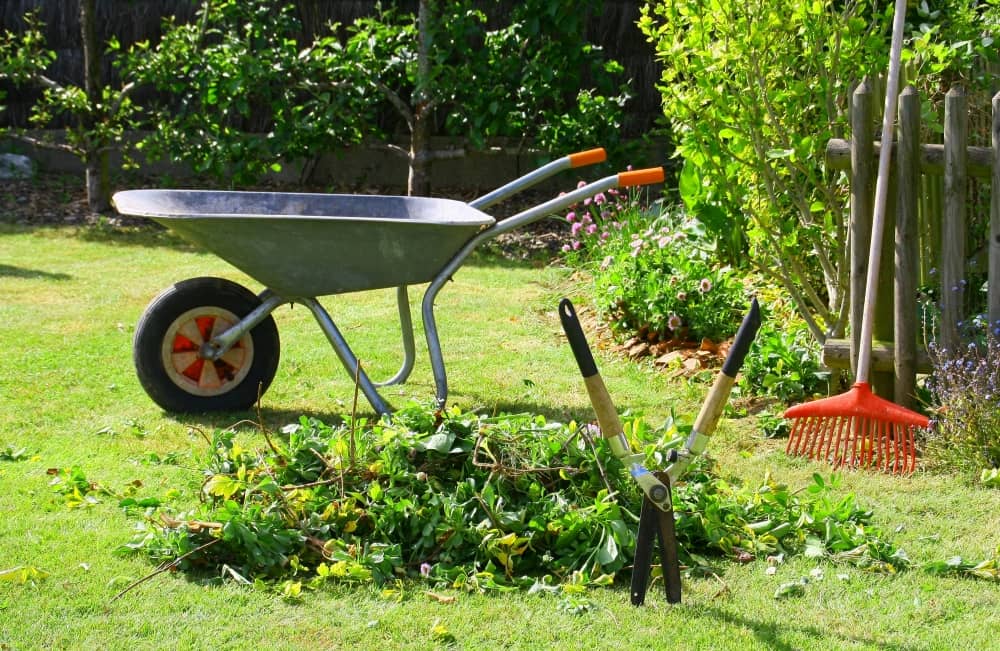 Garden maintenance.