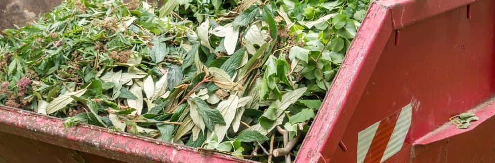 Organic garden waste in skip bin.