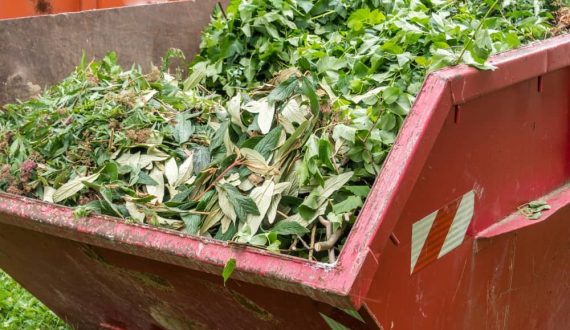 Organic garden waste in skip bin.