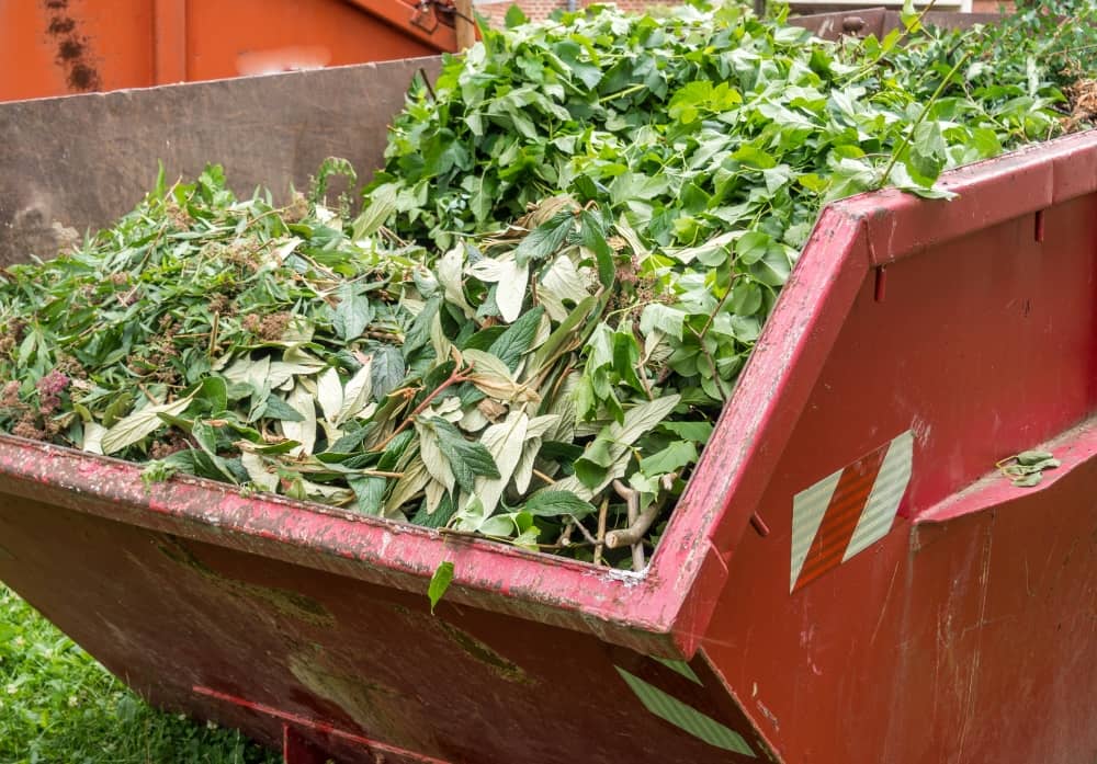 Organic garden waste in skip bin.